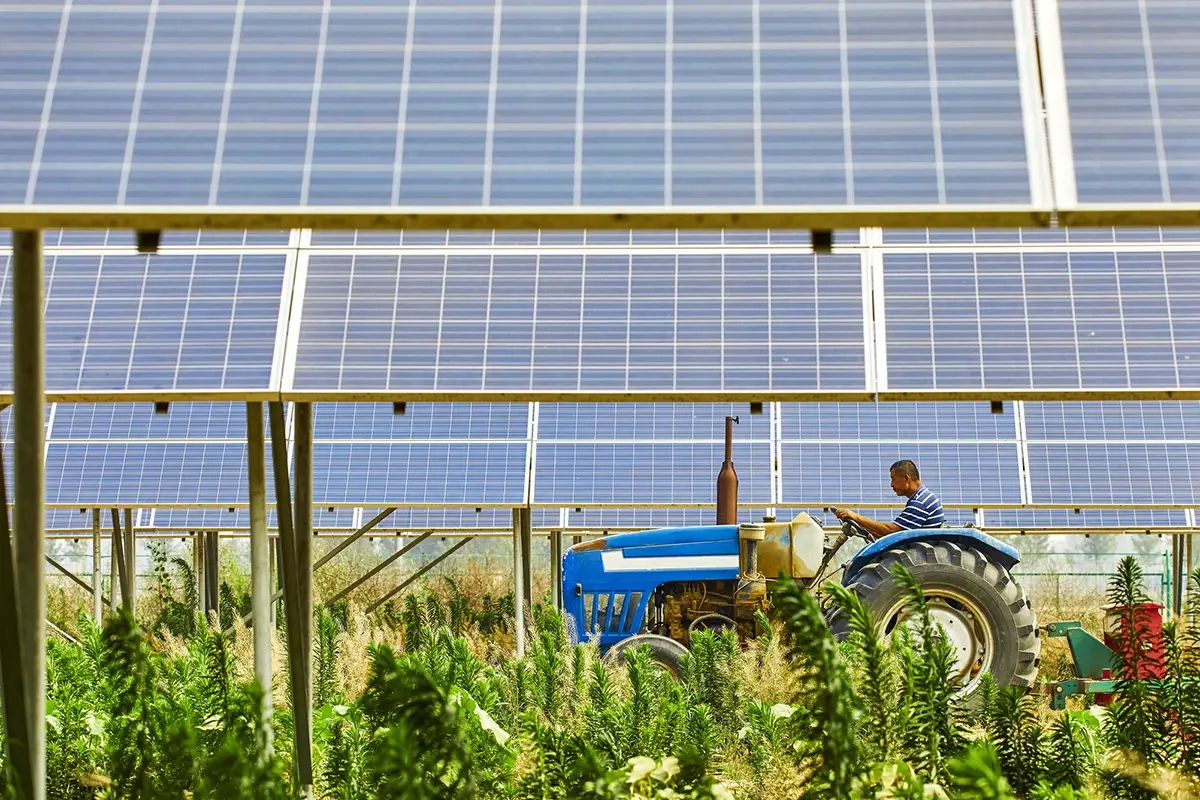 Rilevanti novit&agrave; riguardano l&rsquo;agrovoltaico Confagricoltura: Bene l&rsquo;accelerazione sulle rinnovabili. Irrisolto il caro energia delle imprese agricole