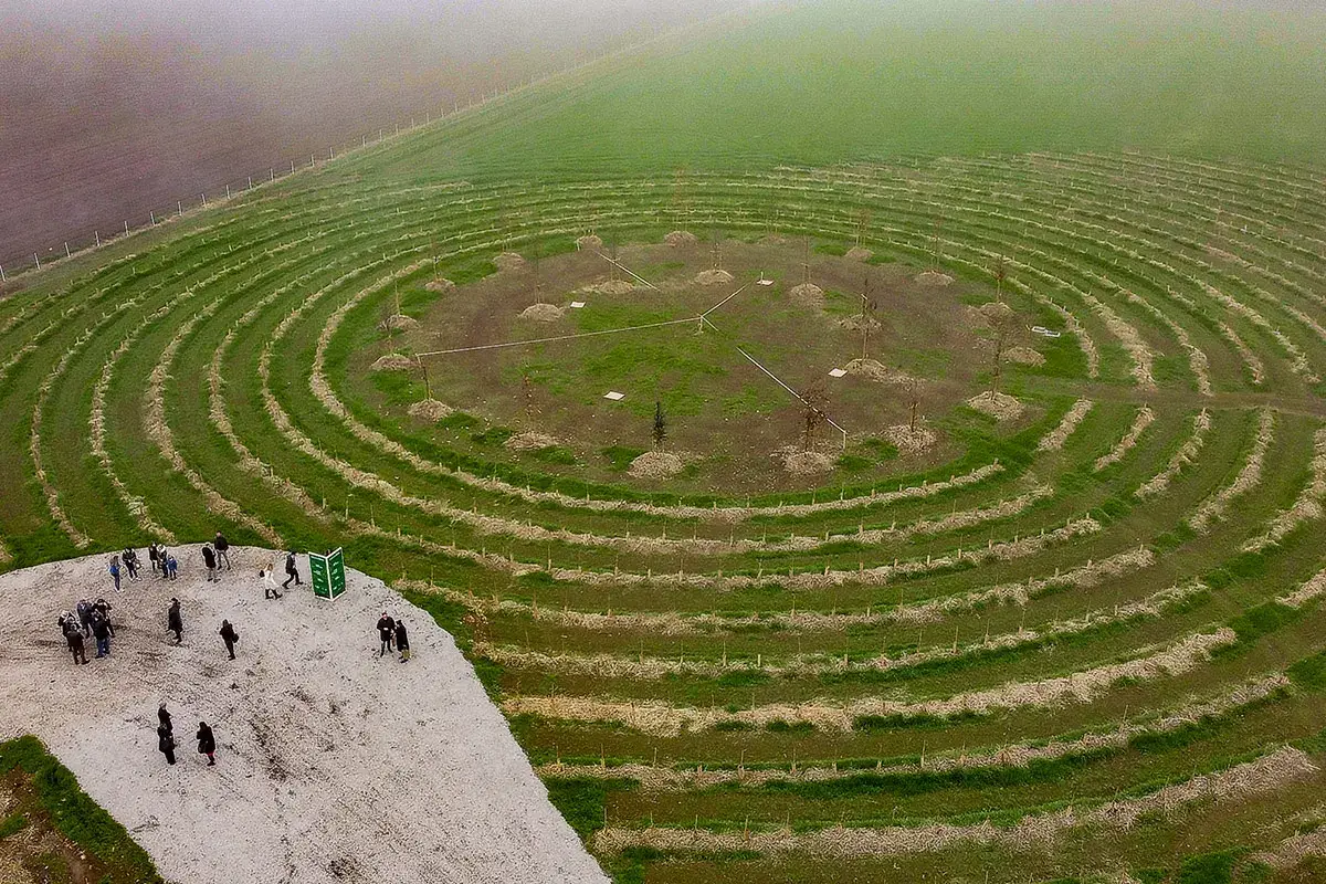 Il cuore pulsante, verde e vivo de &ldquo;Il Bosco del Molino&rdquo;