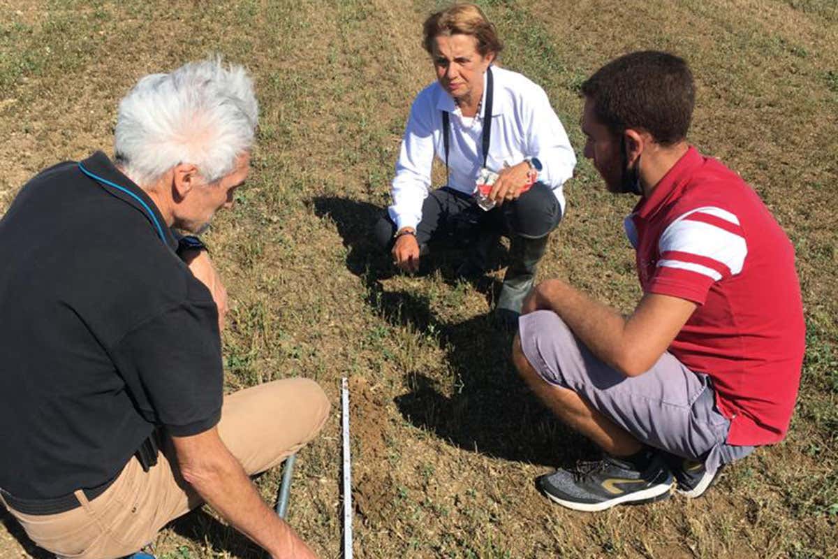 Il cuore pulsante, verde e vivo de “Il Bosco del Molino” Il cuore pulsante, verde e vivo de “Il Bosco del Molino”