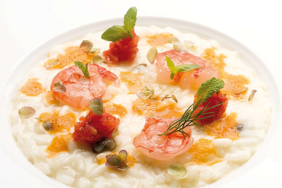 Risotto con gamberi viola di Sanremo, origano di Vendicari e olio evo monocultivar Nocellara del Belice (Alessandro Negrini e Fabio Pisani, Il Luogo di Aimo e Nadia**, Milano) L'Italia del calcio di Mancini va sulle stelle. [Ecco come la celebrano gli stellati]