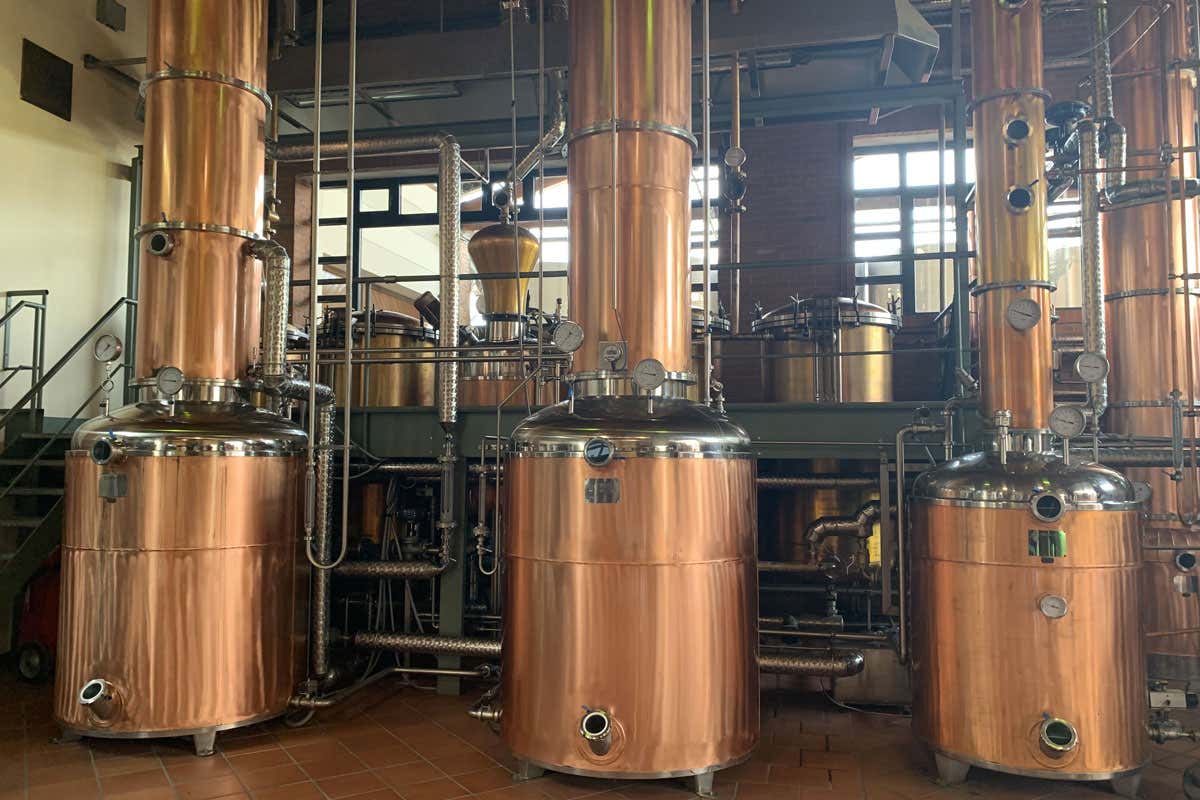 Berta: il nuovo museo multimediale racconta tre generazioni di grappa