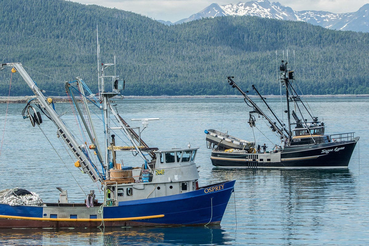 Prodotti ittici dell’Alaska, parola d’ordine: sostenibilità