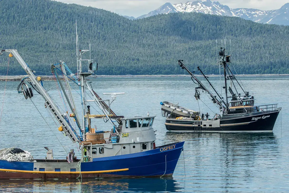 Prodotti ittici dell&rsquo;Alaska, parola d&rsquo;ordine: sostenibilit&agrave;