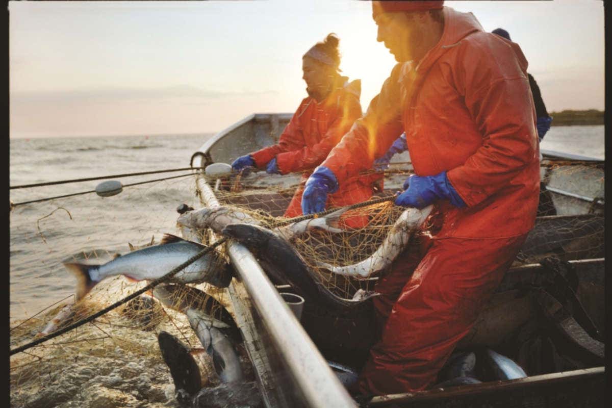 In Alaska riparte la stagione della pesca