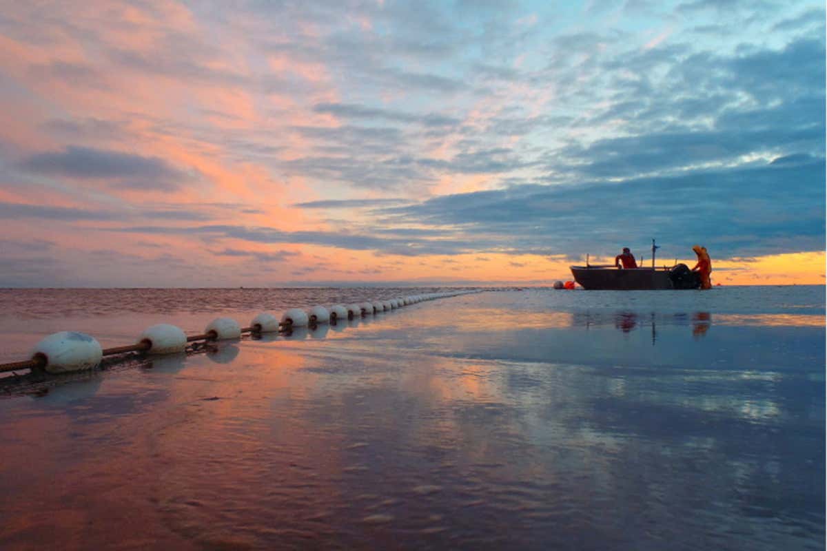 Le attività di pesca di Alaska Seafood sono rigorosamente controllate da organismi scientifici e tecnici