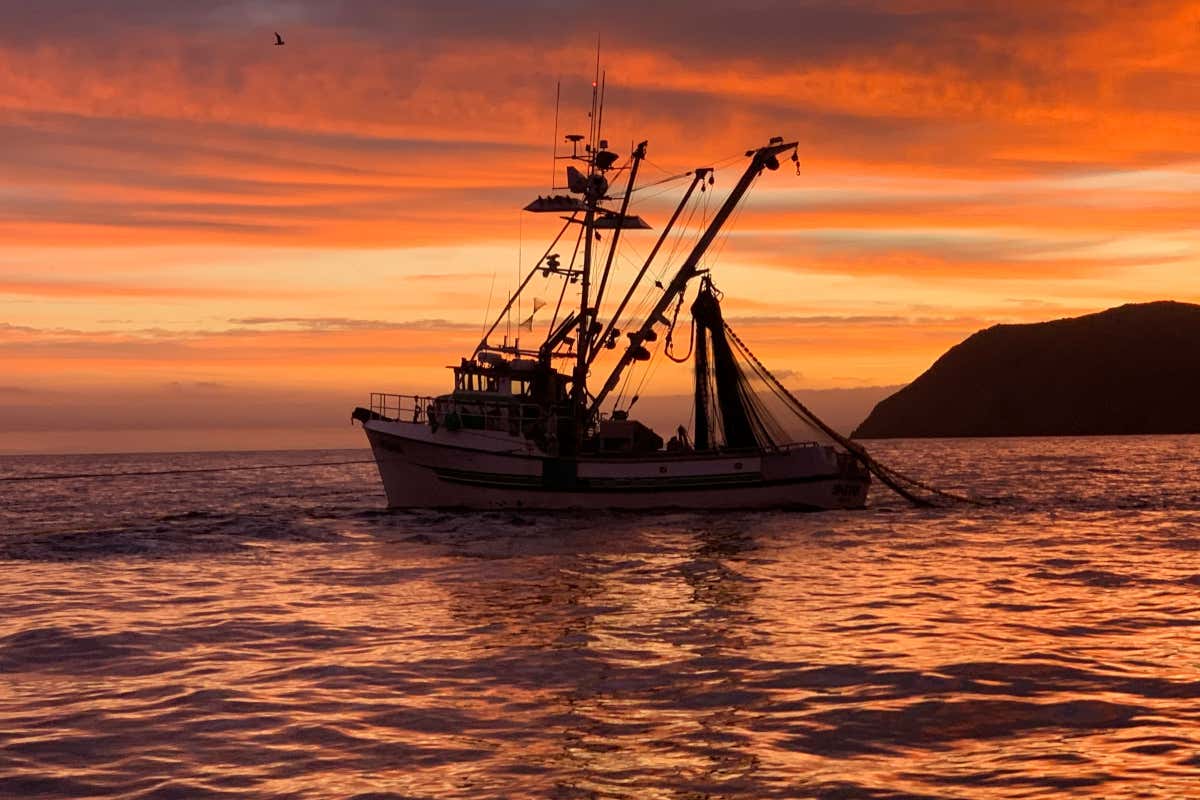 La pesca in Alaska per la maggior parte delle specie avviene solamente in mare aperto