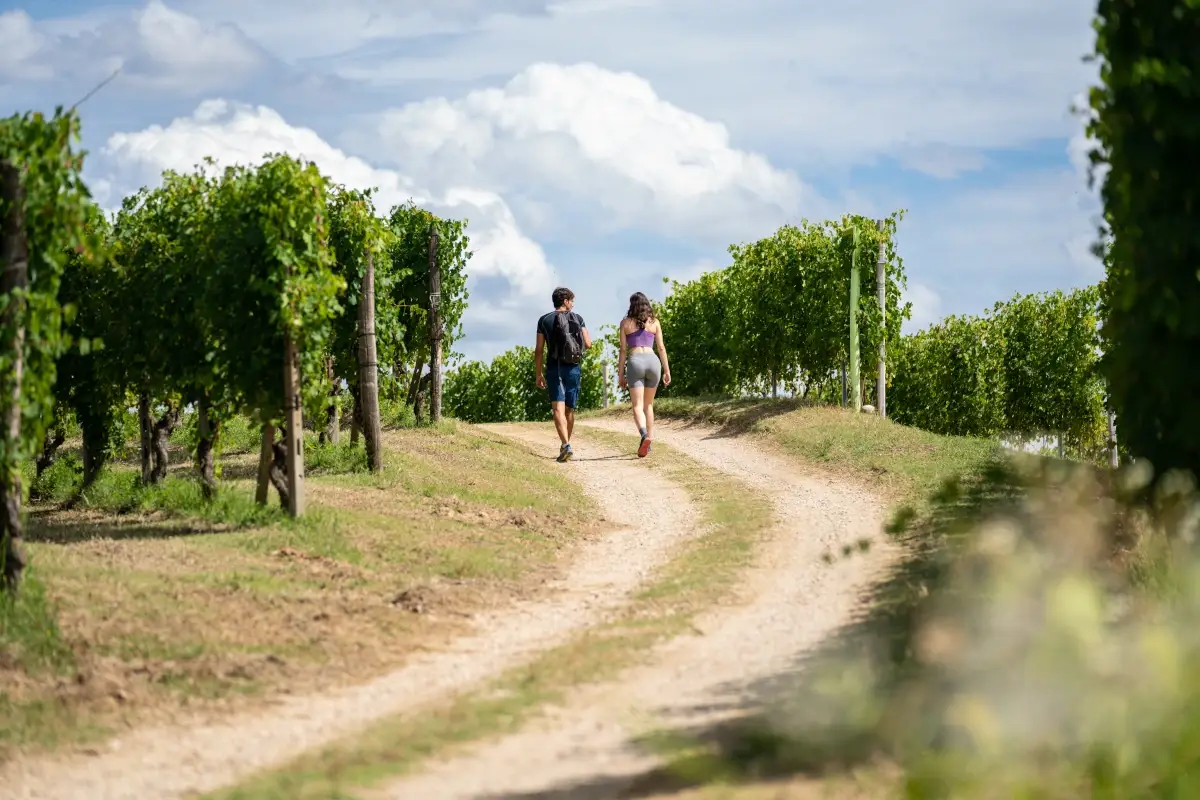 Trekking tra le vigne (foto Mikael Masoero) Alba, paesaggi incantevoli per un turismo slow e di qualit&agrave;