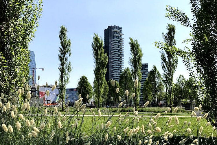 Milano sempre più verde con 3 milioni di nuovi alberi entro il 2030 Tre milioni di nuovi alberi in 10 anni Così Milano si riscopre green