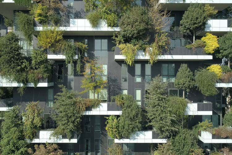 Gli alberi del Bosco Verticale Milano vuole la sua foresta Tre milioni di alberi in 10 anni