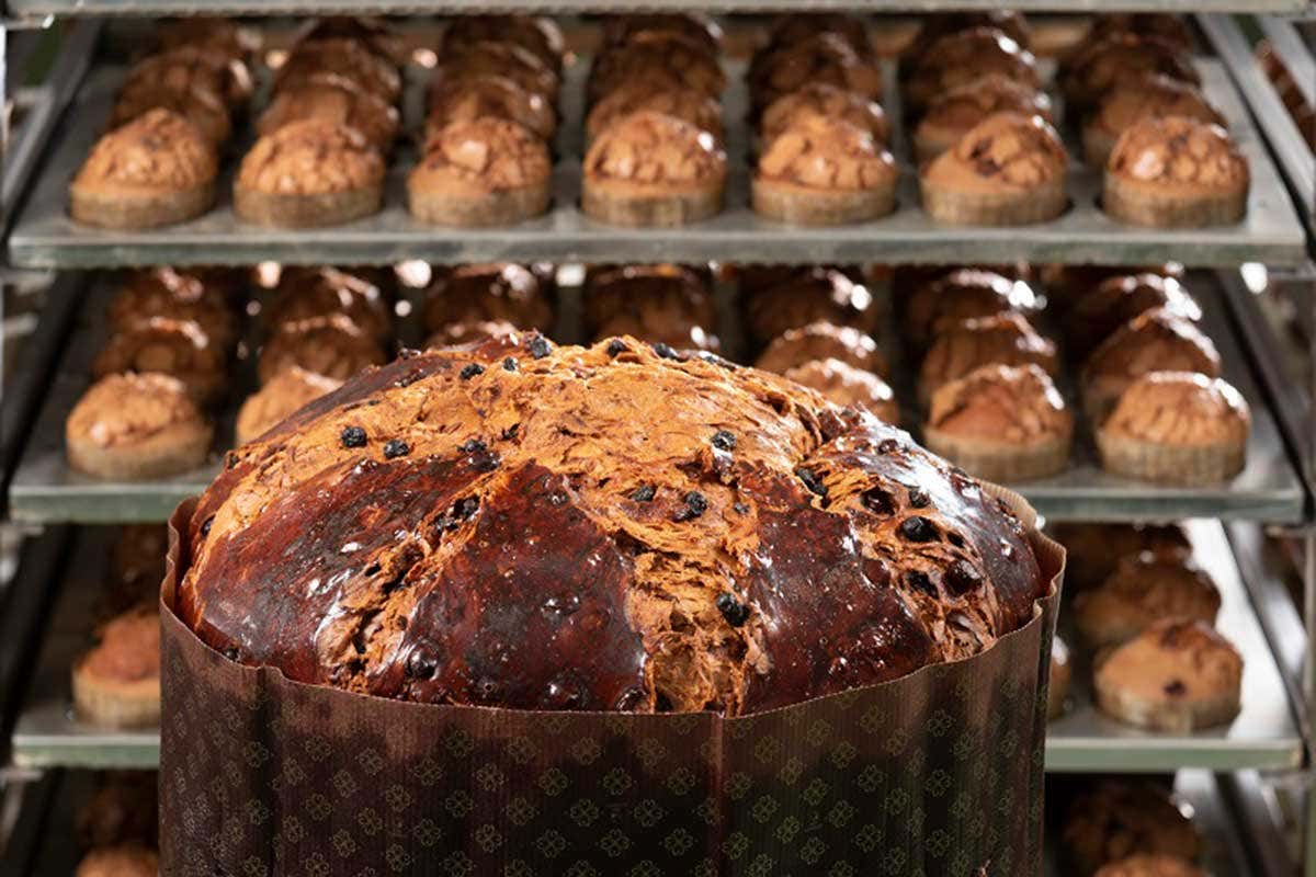 Il panettone Albertengo Albertengo, Regina Bakery e Villa Sandi negli Usa per un Natale Made in Italy