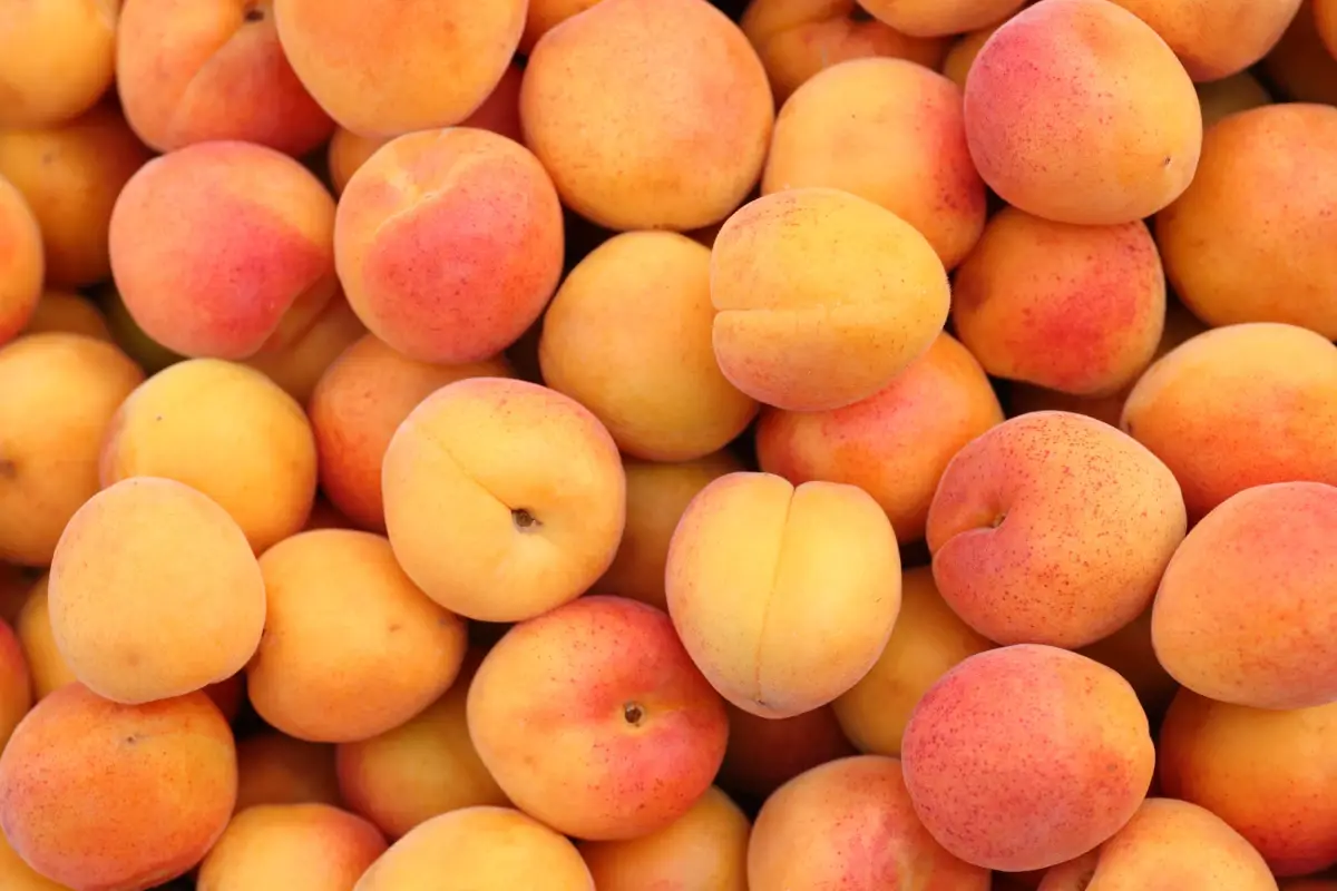 Frutta di stagione: cosa mangiare in primavera per sentirsi pieni di energia