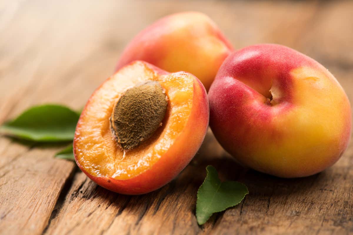 Frutta estiva, tutto quello che c'è da sapere sulle albicocche