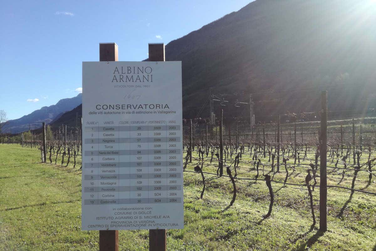 Albino Armani porta i suoi vini a Best Wine Stars 2022