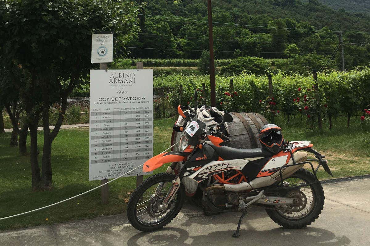 Albino Armani ospiterà la serata Sequals albino armani