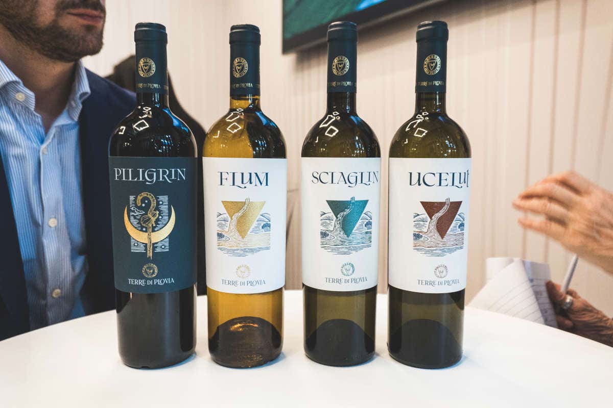 Dal Garda al Friuli: vini freschi ed eleganti espressione dei vitigni autoctoni Dal Garda al Friuli: vini freschi ed eleganti espressione dei vitigni autoctoni