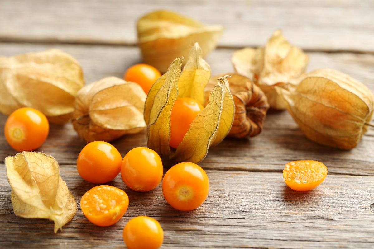 Come fare il pieno di vitamina C? Prova gli alchechengi