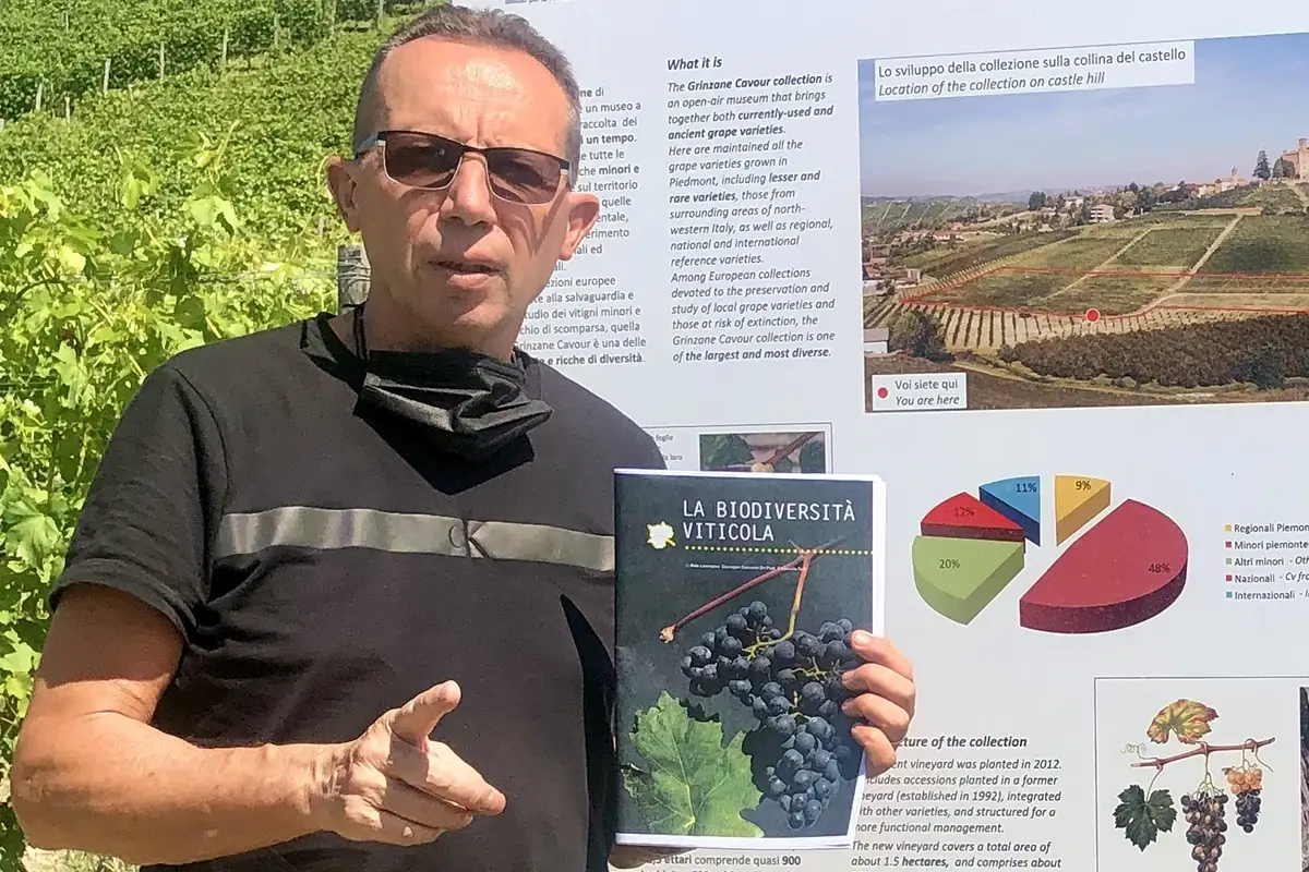 Aldo Lorenzoni Monti Lessini, dal passato i vini del futuro