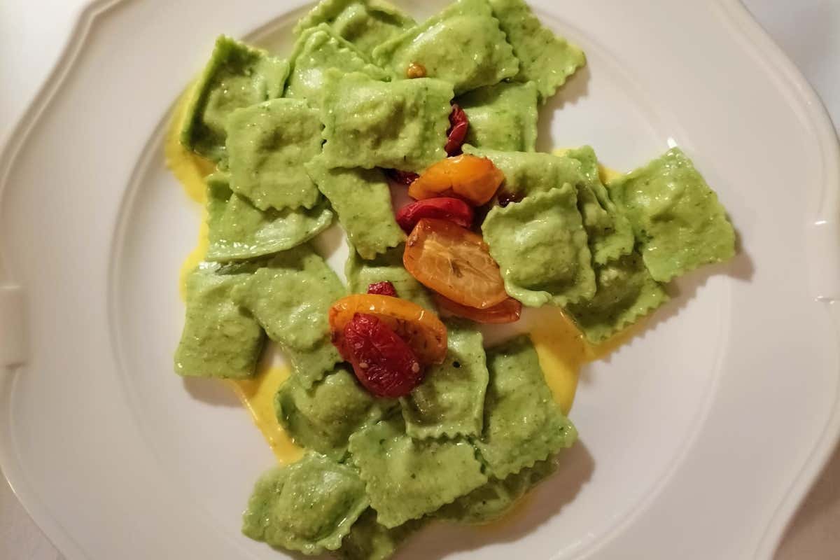 Cocconato: dove il vino racconta la storia del Monferrato Cocconato: dove il vino racconta la storia del Monferrato