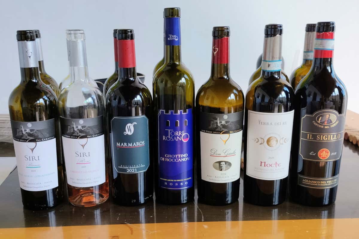 Non solo Aglianico: il volto sorprendente della Basilicata del vino Non solo Aglianico: il volto sorprendente della Basilicata del vino