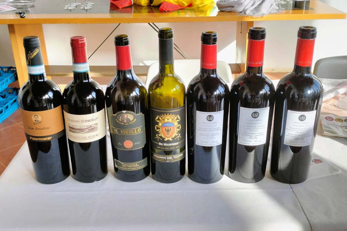 Non solo Aglianico: il volto sorprendente della Basilicata del vino Non solo Aglianico: il volto sorprendente della Basilicata del vino