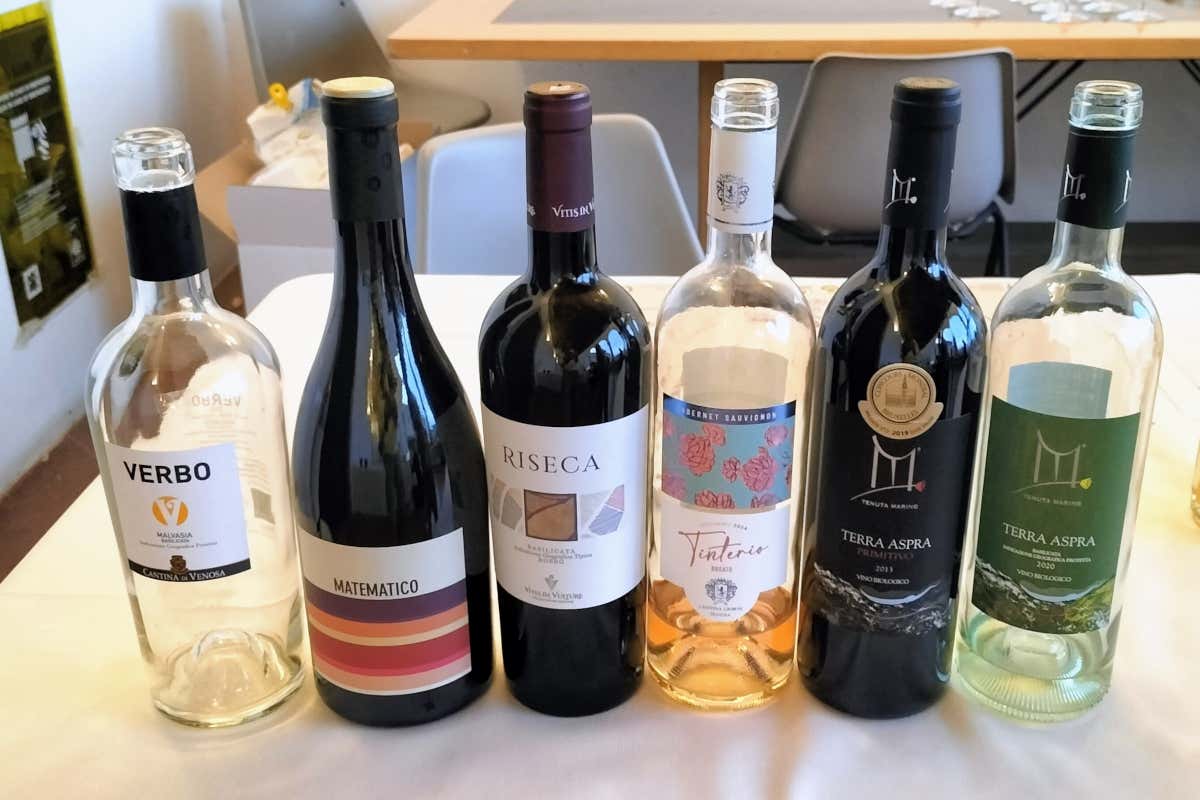 Non solo Aglianico: il volto sorprendente della Basilicata del vino Non solo Aglianico: il volto sorprendente della Basilicata del vino