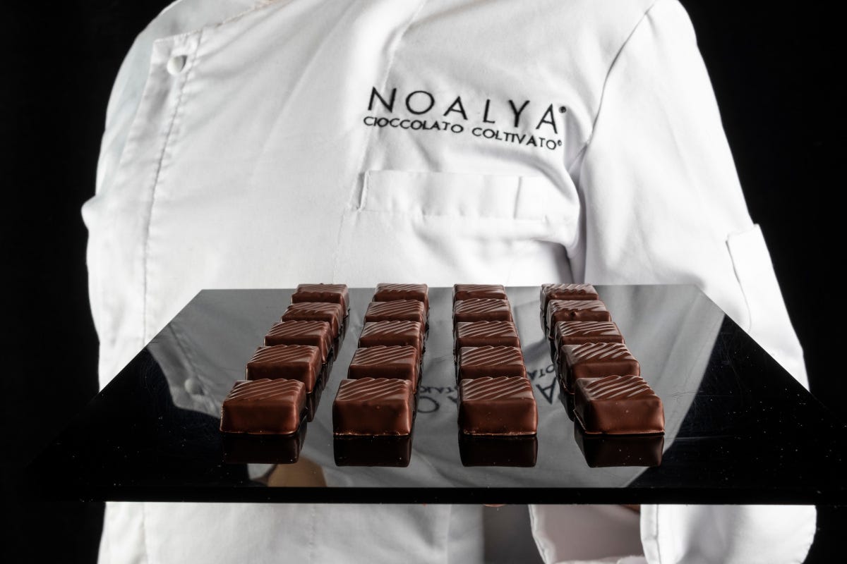 Cioccolatini di Noyala I maestri cioccolatai nascono alla scuola di Alessio Tessieri