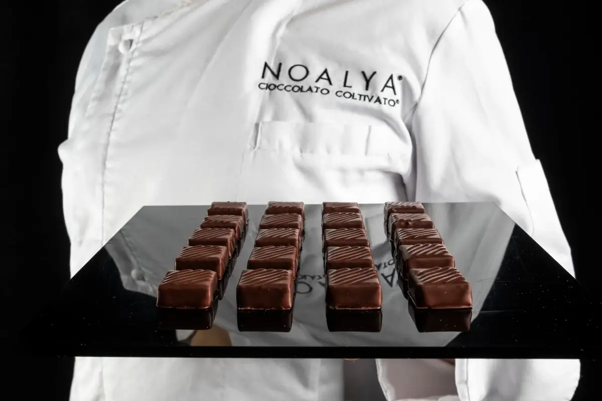 Cioccolatini di Noyala I maestri cioccolatai nascono alla scuola di Alessio Tessieri