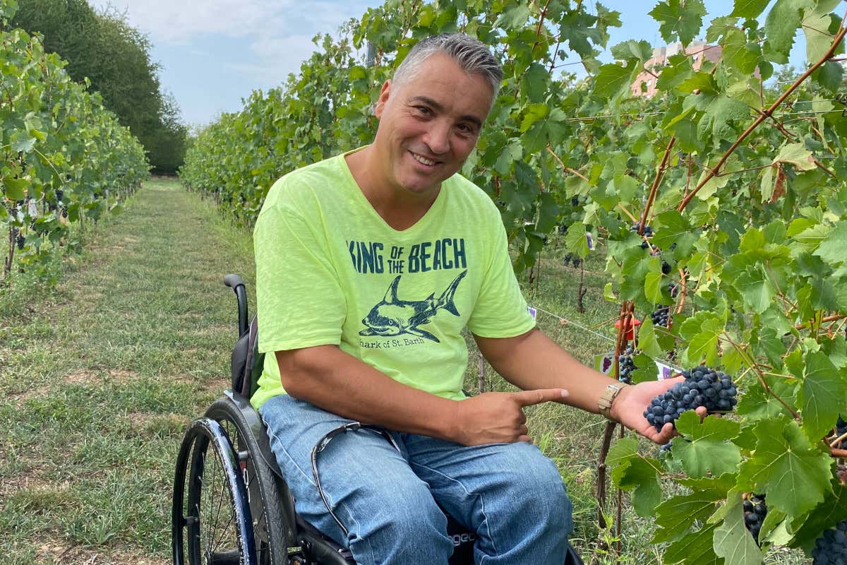 Barbera di Monza, un'etichetta segreta lancerà 500 bottiglie esclusive