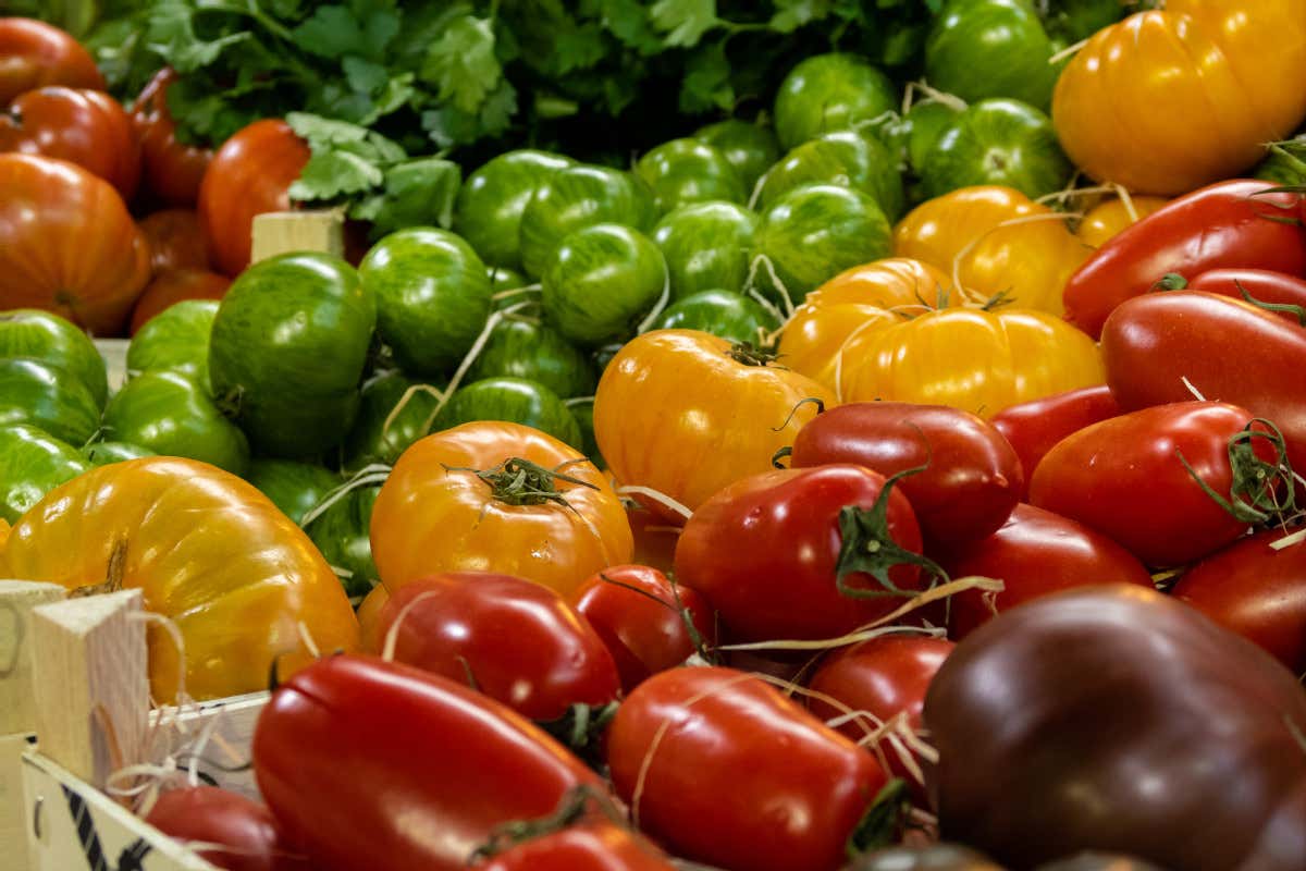 Vendite al dettaglio calano le vendite nel comparto alimentare