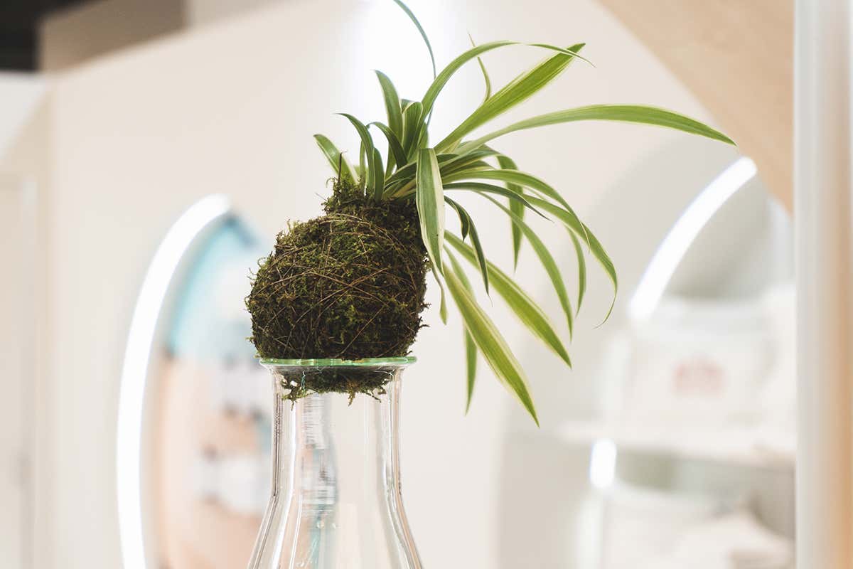 Dal ristorante alla camera d’hotel: la detergenza professionale si fa sostenibile