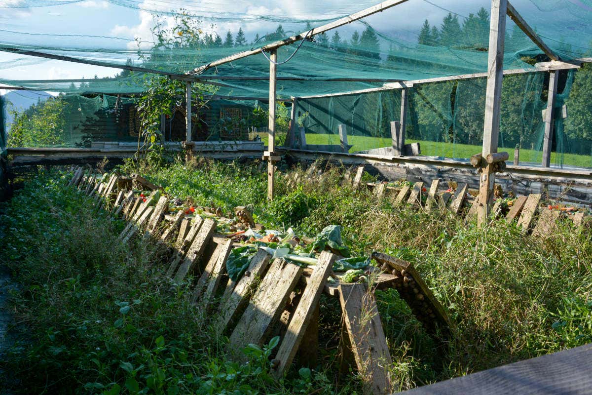 Wilder Kaiser, una vacanza tra natura e sostenibilità in Tirolo