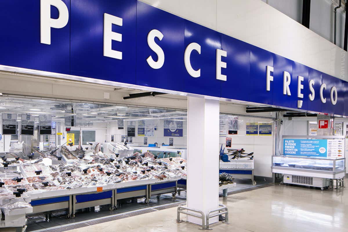 Non solo qualità: il pesce di Metro Italia ora rispetta anche il benessere animale Non solo qualità: il pesce di Metro Italia ora rispetta anche il benessere animale