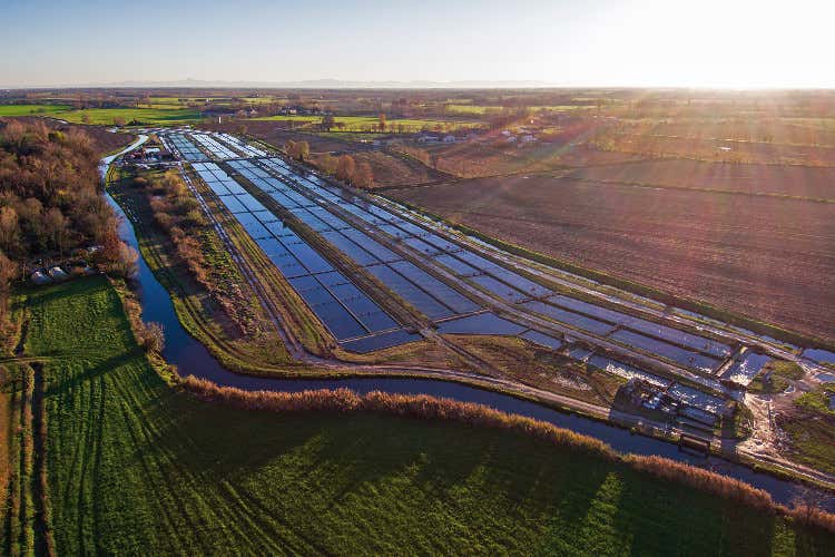 Un allevamento di storioni della famiglia Bettinazzi - Cru Caviar, il lusso italiano a tavola: dal caviale Beluga all'innovazione