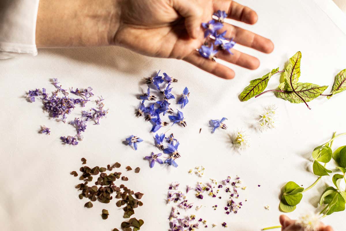 Oreade: un viaggio gastronomico nel cuore della Toscana tra tadizione e innovazione