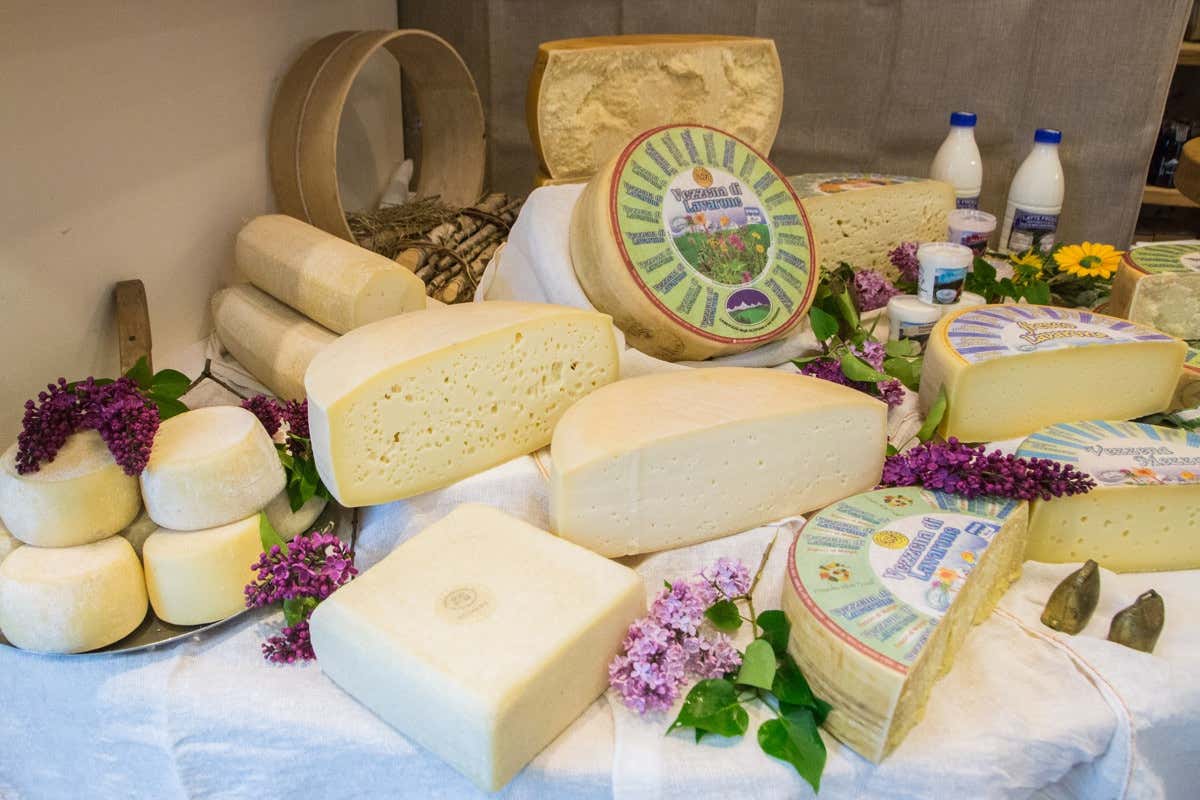 Alla scoperta dell’Alpe Cimbra, la montagna per tutti in ogni stagione Alla scoperta dell’Alpe Cimbra, la montagna per tutti in ogni stagione