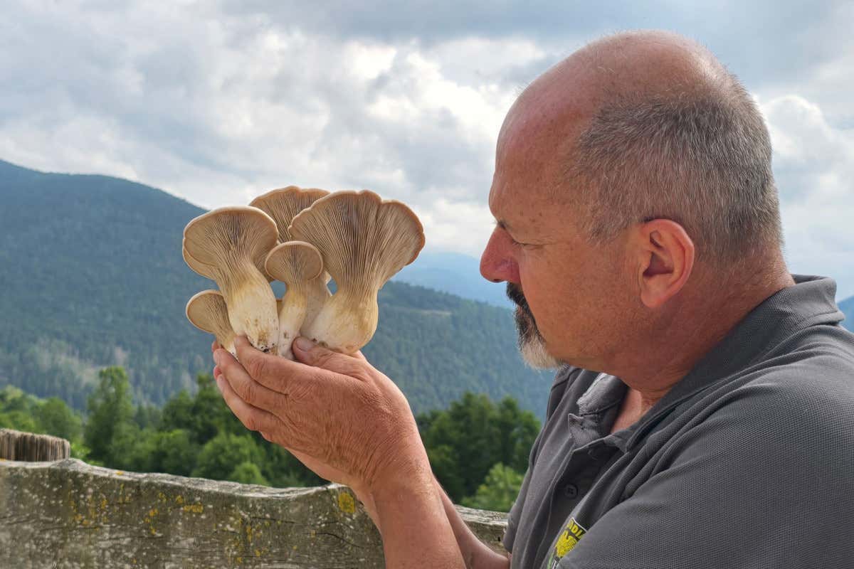 Alla scoperta dell’Alpe Cimbra, la montagna per tutti in ogni stagione Alla scoperta dell’Alpe Cimbra, la montagna per tutti in ogni stagione