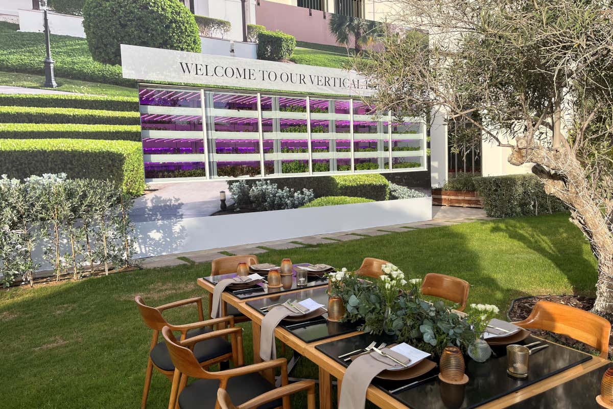 Cucina green e stellata: sei proposte fra Europa e Medio Oriente