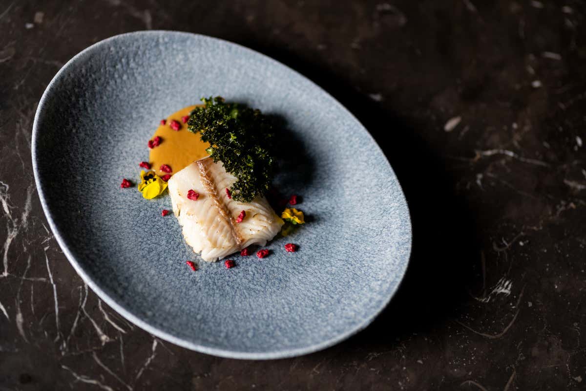 Cucina green e stellata: sei proposte fra Europa e Medio Oriente