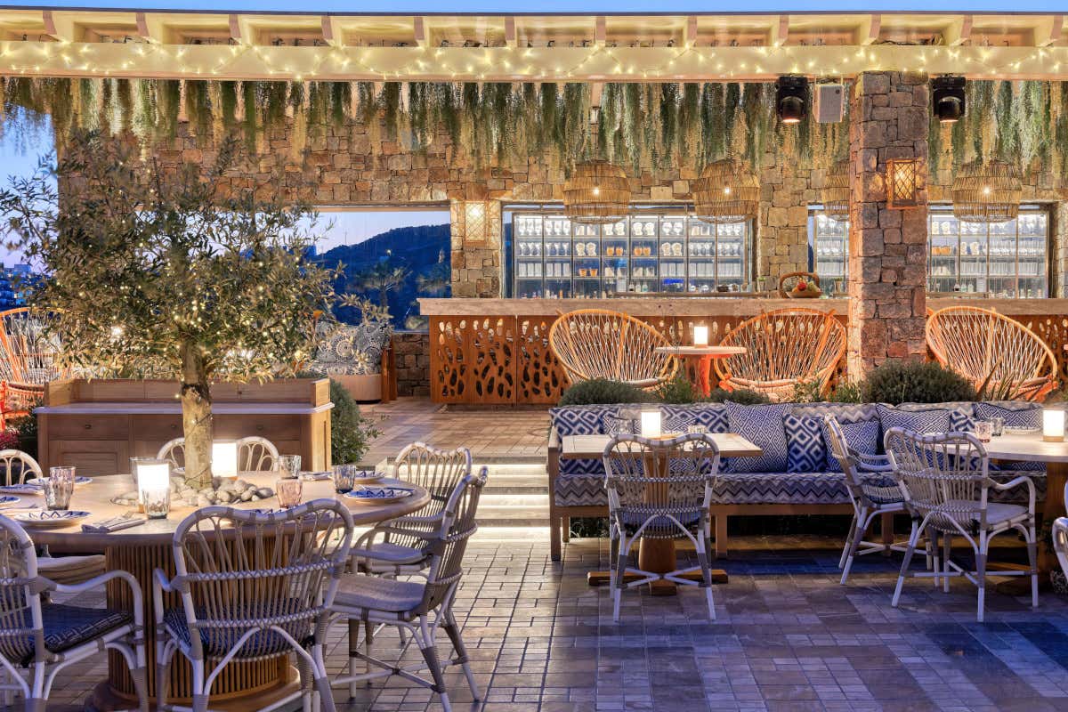 Cucina green e stellata: sei proposte fra Europa e Medio Oriente