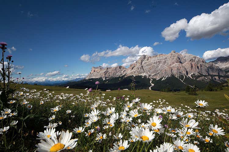 Dolomiti d'estate (Alto Adige in festa Due anniversari per le Dolomiti) Dolomiti d'estate (Alto Adige in festa Due anniversari per le Dolomiti)