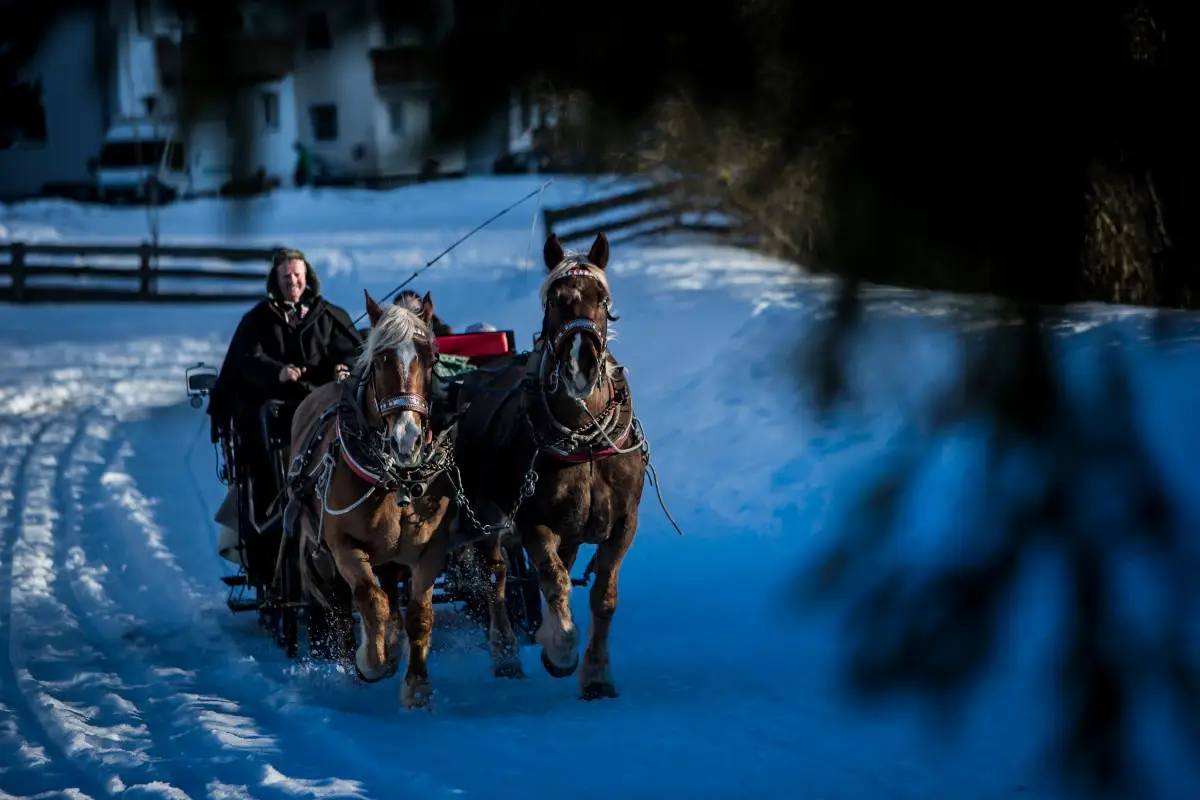 Girare in slitta in Valle Aurina (foto Hansi Heckmair) Inverno da favola in Valle Aurina all’Hotel Alpenpalace