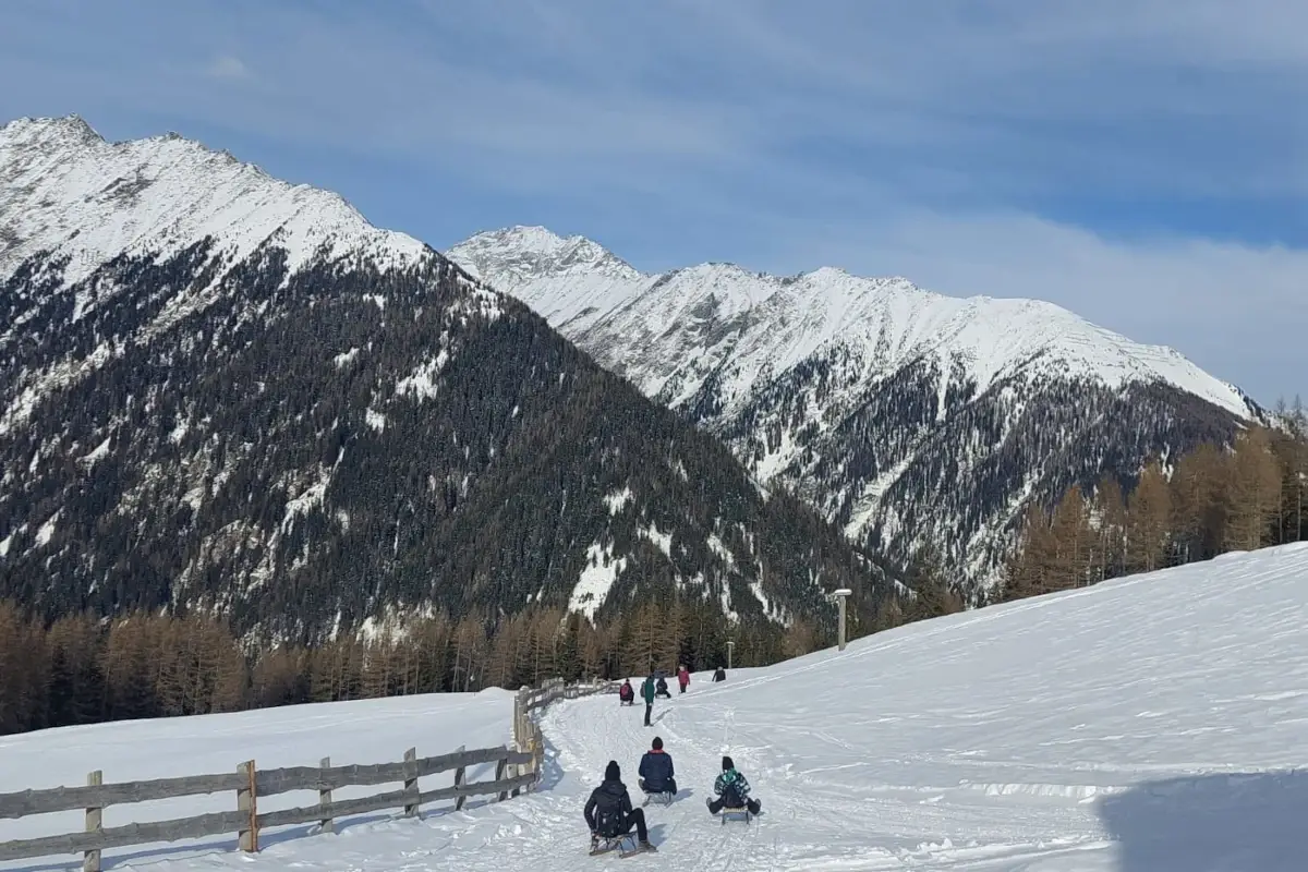 Slittino in Valle Aurina Inverno da favola in Valle Aurina all’Hotel Alpenpalace