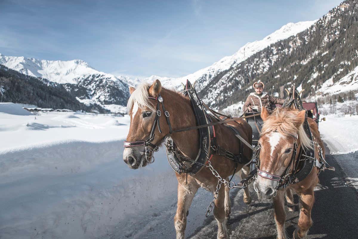 Vacanze in Alto Adige? L'inverno è tutto da scoprire e da vivere Vacanze in Alto Adige? L'inverno è tutto da scoprire e da vivere