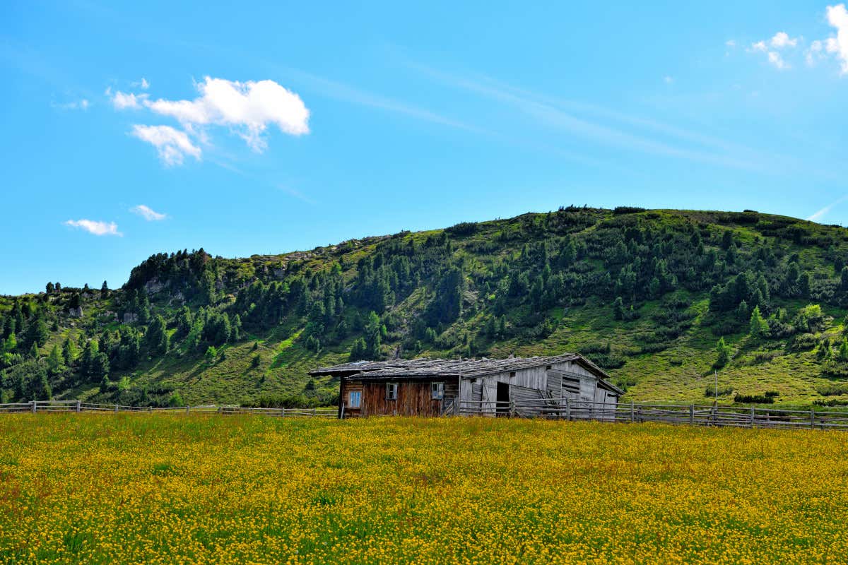 Alto Adige: dieci sentieri panoramici per toccare i monti con un dito Alto Adige: dieci sentieri panoramici per toccare i monti con un dito