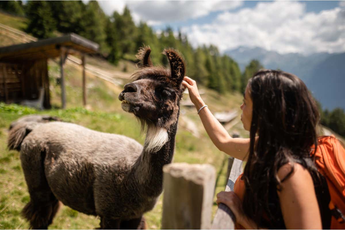 Vipiteno, ecco otto itinerari per un'estate a misura di famiglia