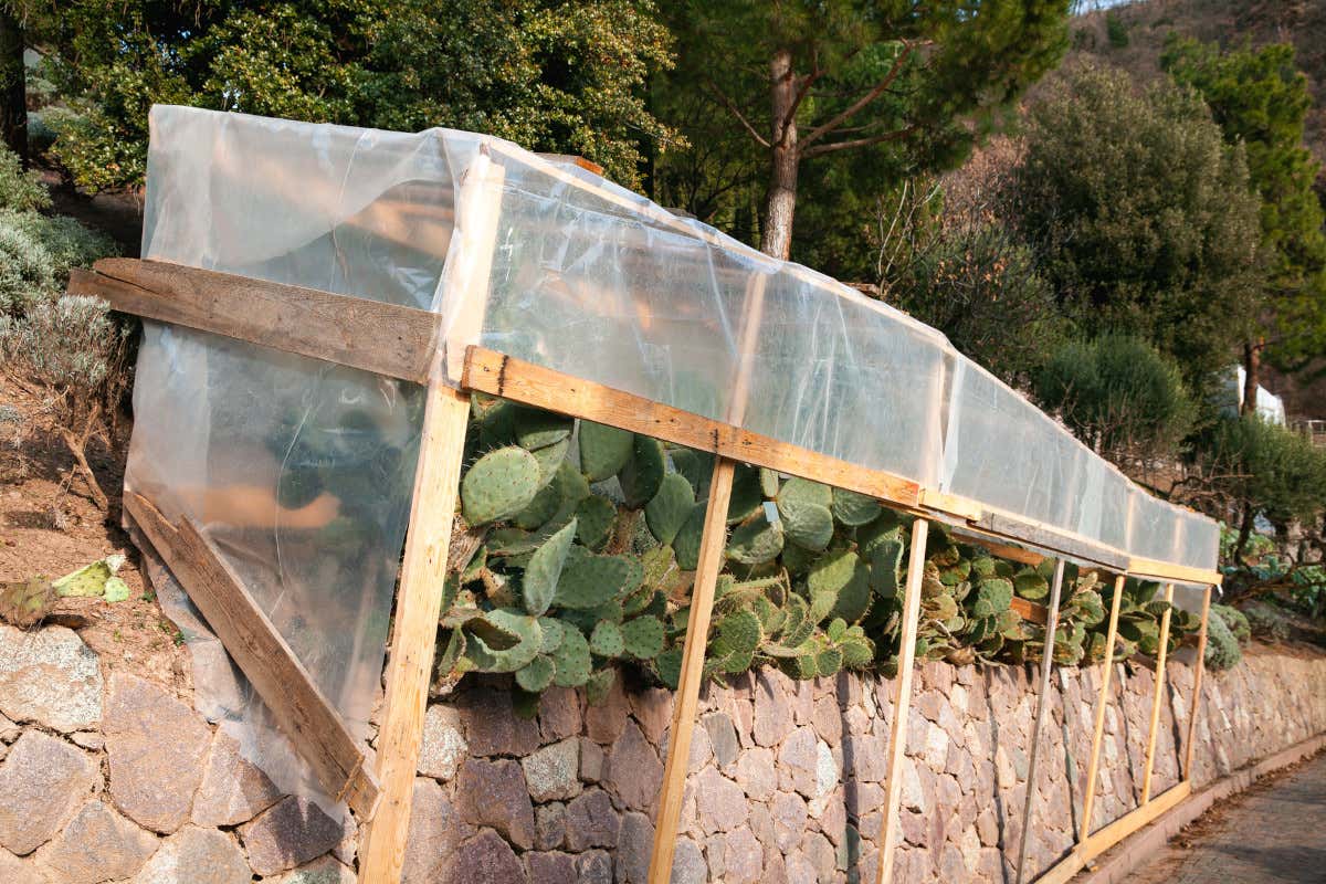 Il benefico riposo dei Giardini di Castel Trauttmansdorff aspettando la primavera 