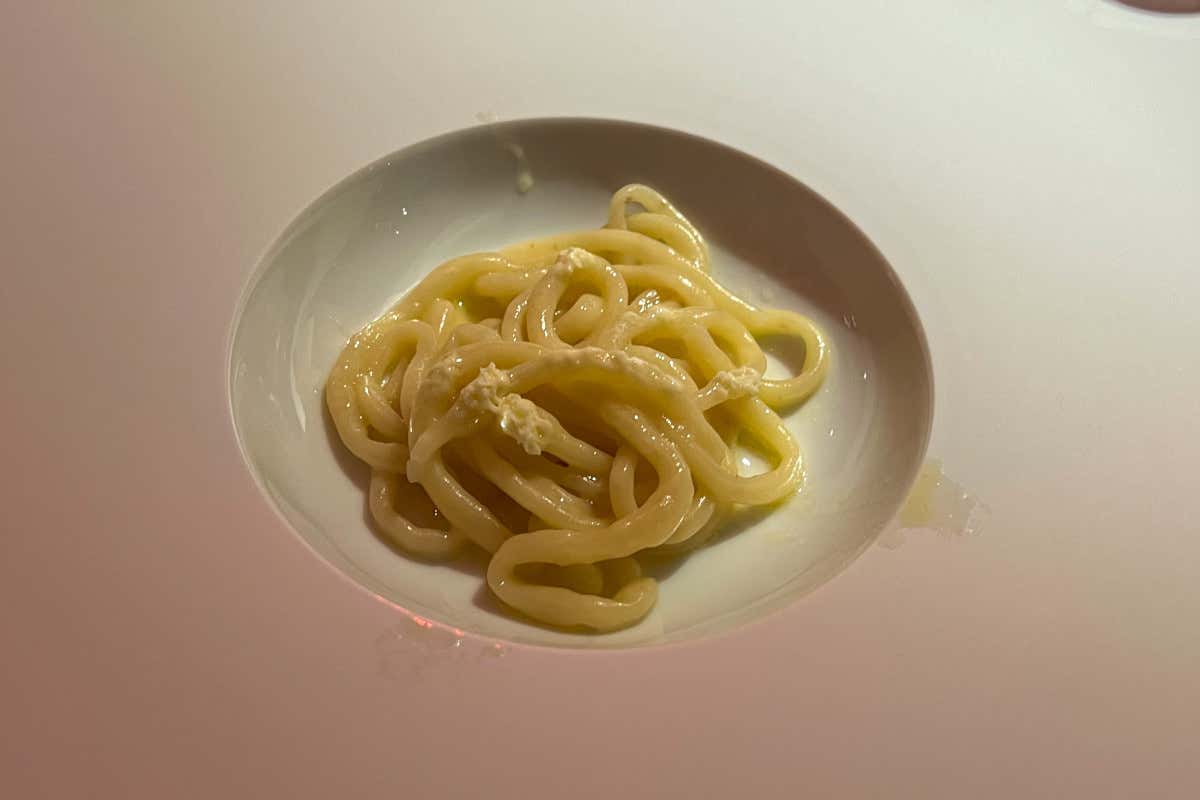 Alto Ristorante: avanguardia culinaria tra innovazione e sostenibilità