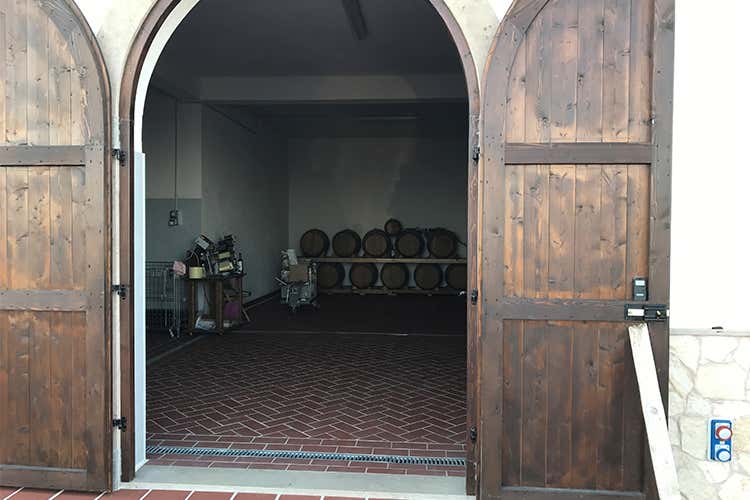 Altomonte punta sull'autoctono Vigneti in collina sul mar Jonio