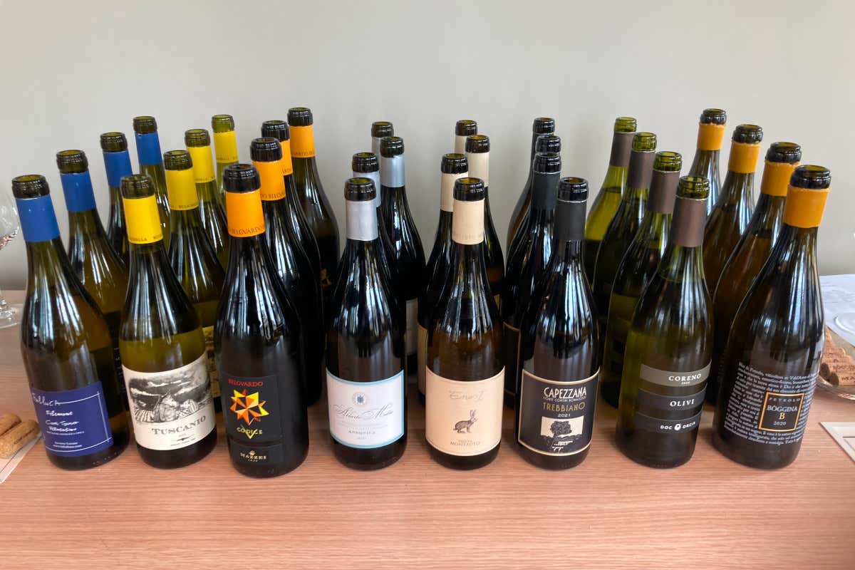 L’Altra faccia della Toscana…. successo per la degustazione dei vini bianchi