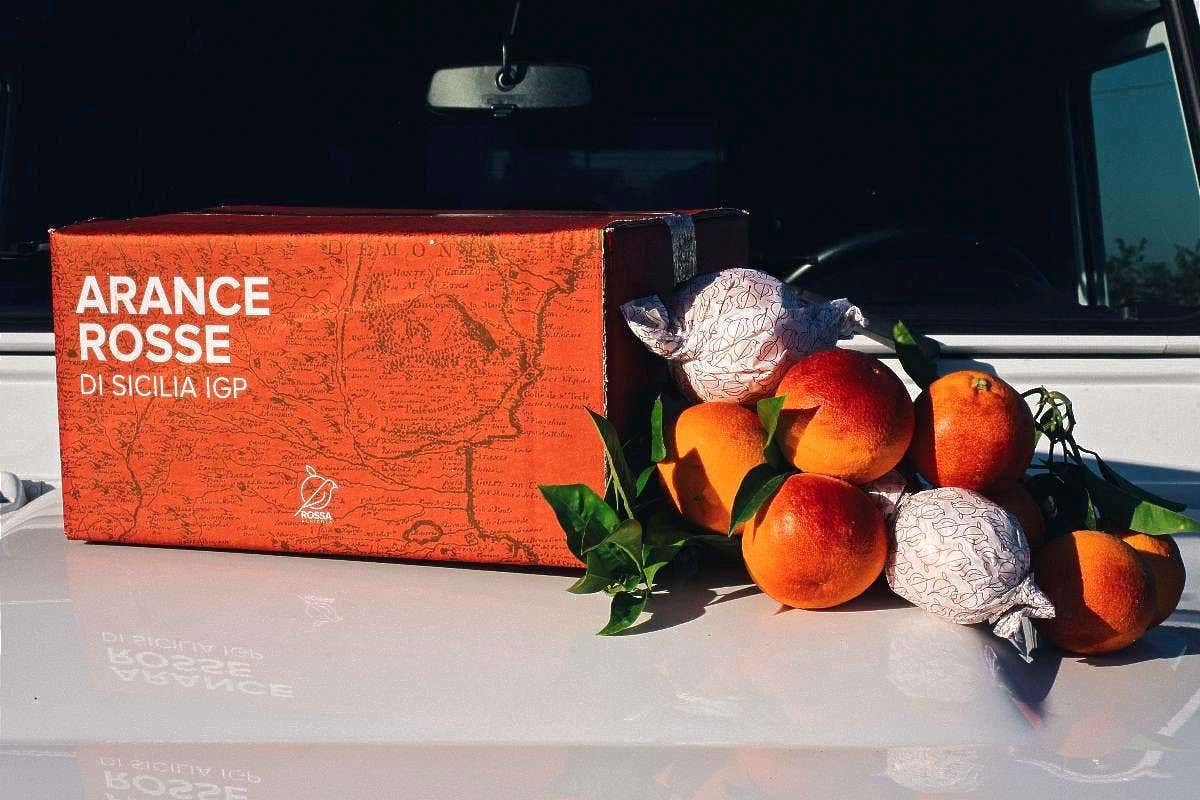 Amaro Amara, box di Arance Rosse IGP per celebrare il buon raccolto